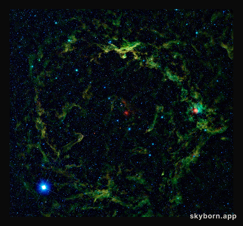 Orion Big Head Revealed in Infrared