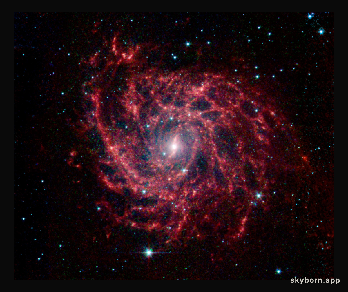 Spider Web of Stars in IC 342A