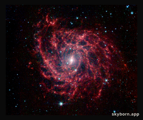 Spider Web of Stars in IC 342A