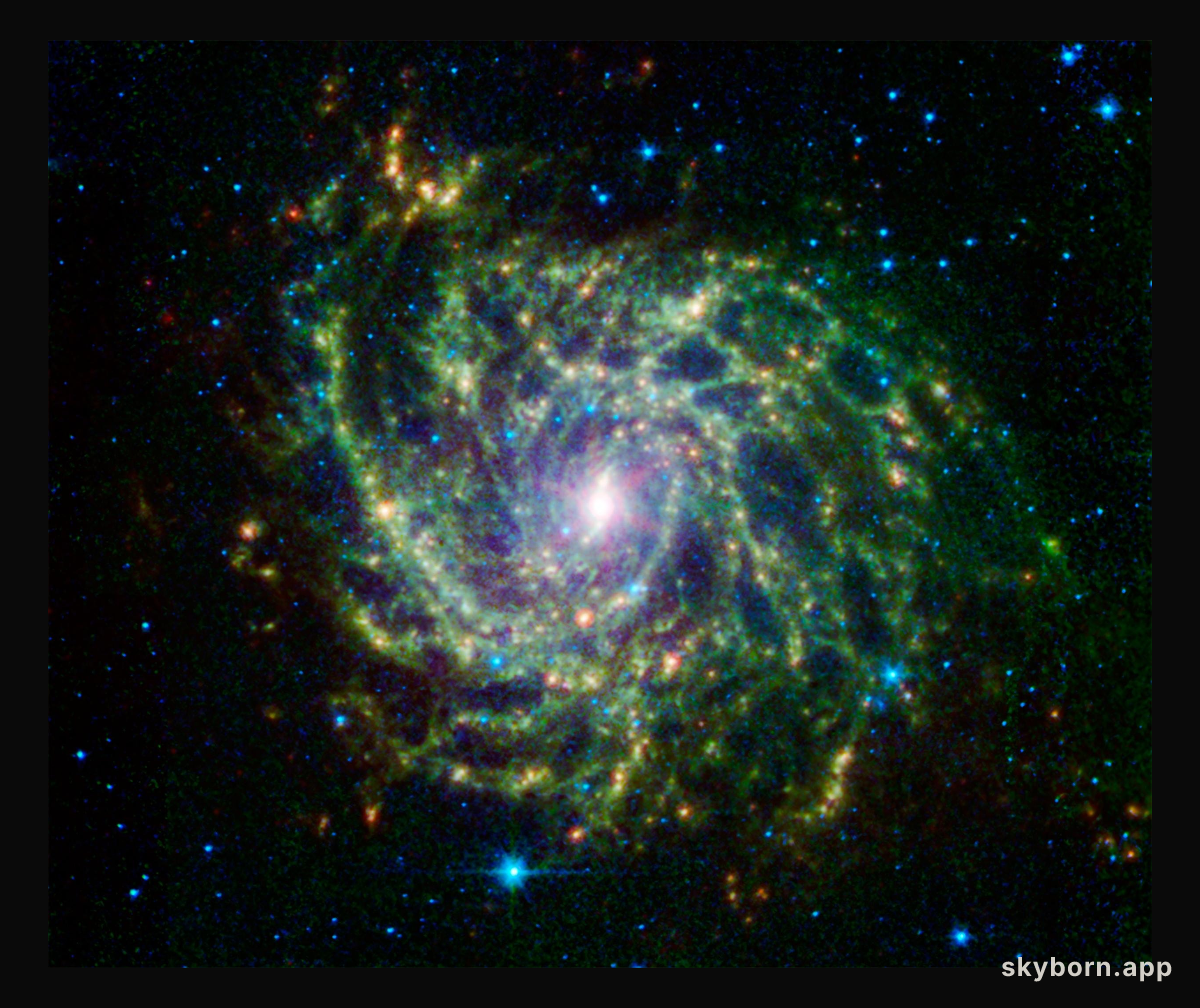 A Twisted Star-Forming Web in the Galaxy IC 342