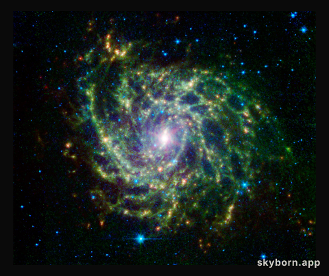 A Twisted Star-Forming Web in the Galaxy IC 342