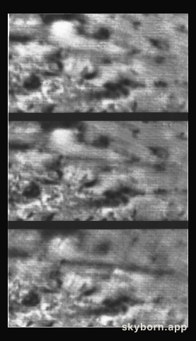 Triton Volcanic Plumes