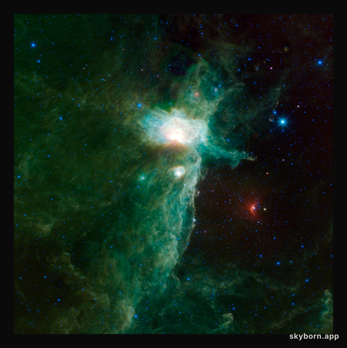 A Different View of the Flame Nebula