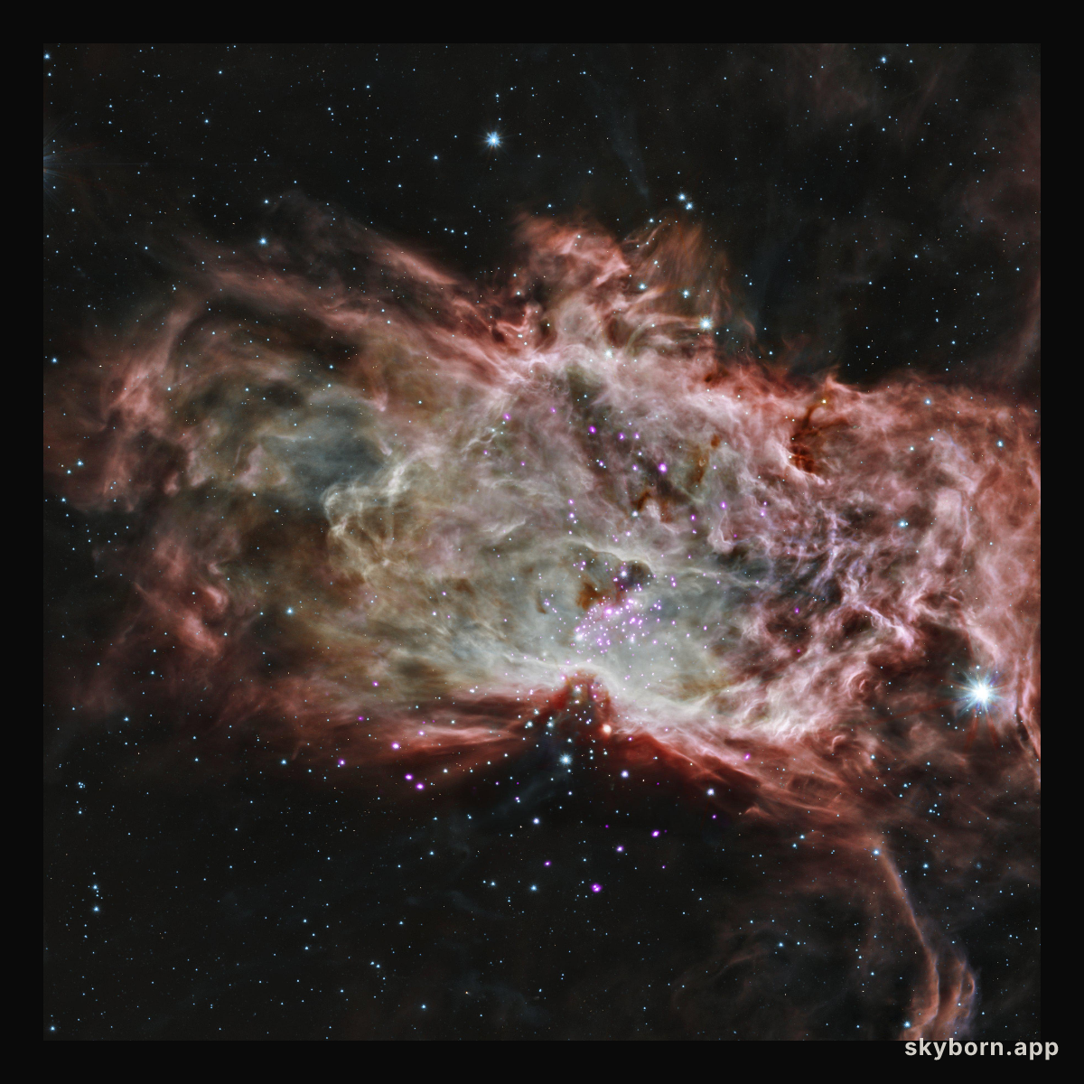 Inside the Flame Nebula