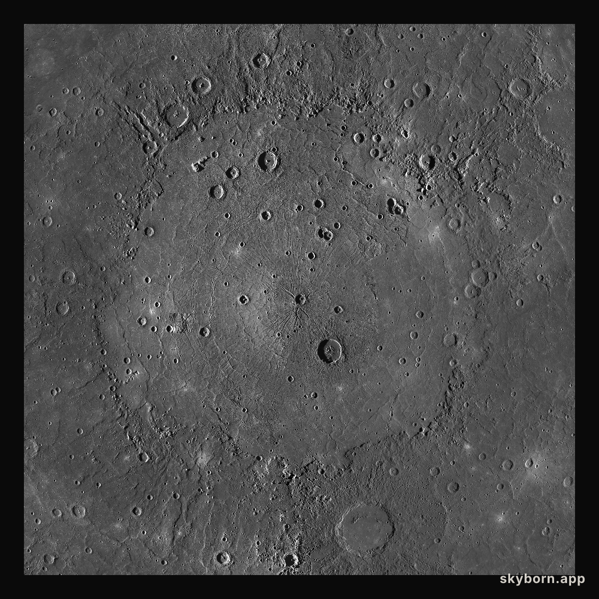 The Mighty Caloris