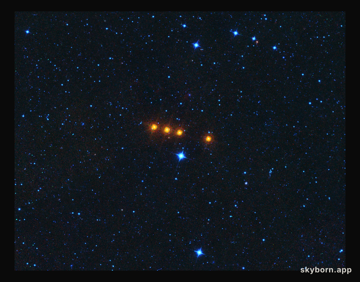 Asteroid Euphrosyne as Seen by WISE