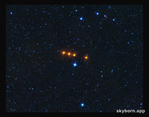 Asteroid Euphrosyne as Seen by WISE