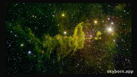 The Spider Nebula