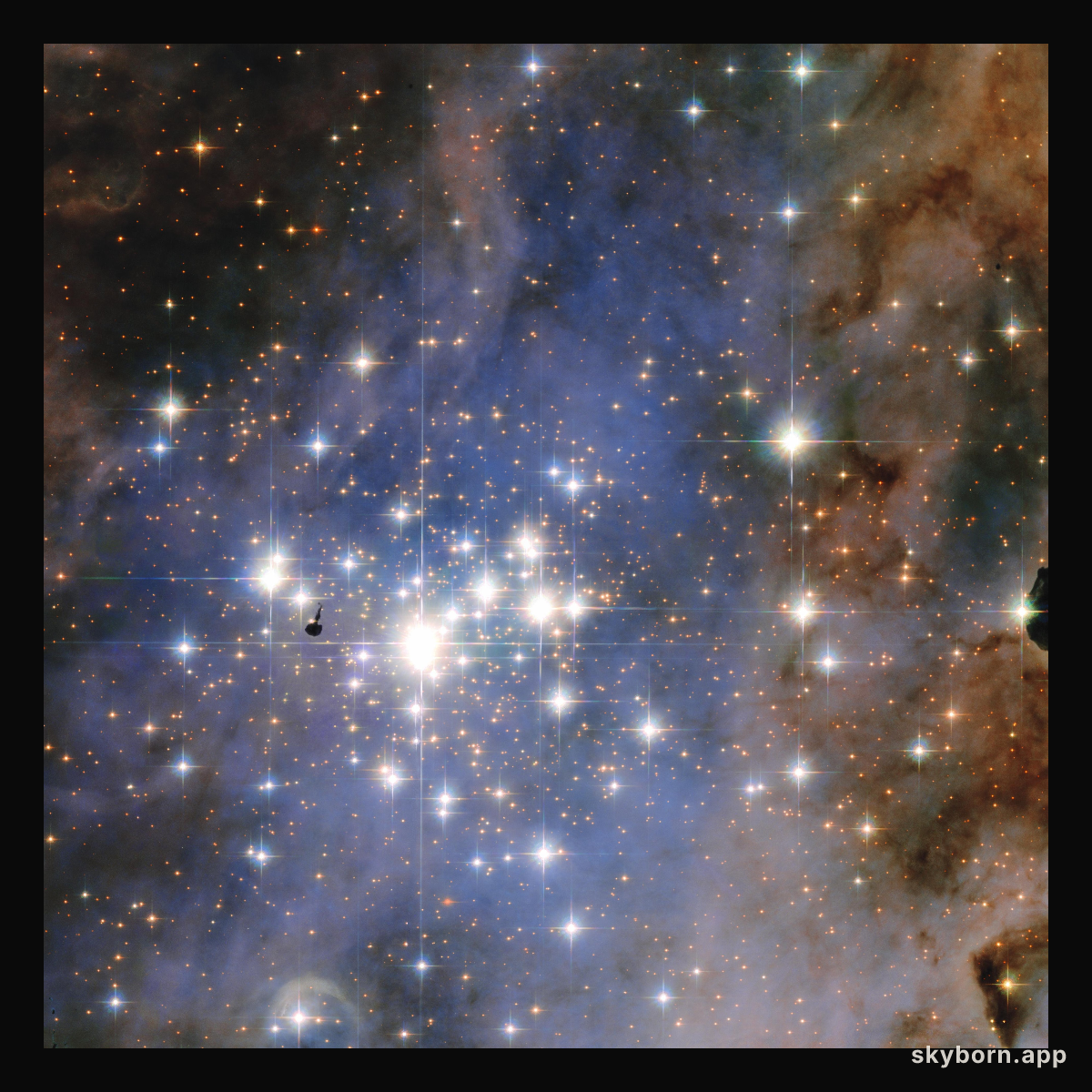 Hubble Unveils a Tapestry of Dazzling Diamond-Like Stars