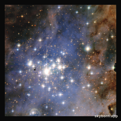 Hubble Unveils a Tapestry of Dazzling Diamond-Like Stars