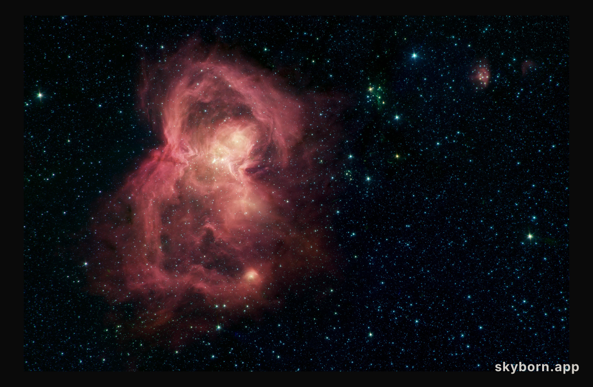 Space Butterfly
