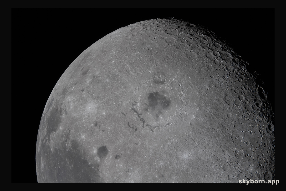 A Moment with the Moon