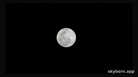 A Full Moon is pictured above the Earth's horizon as the International Space Station orbited 262 miles over the Pacific
