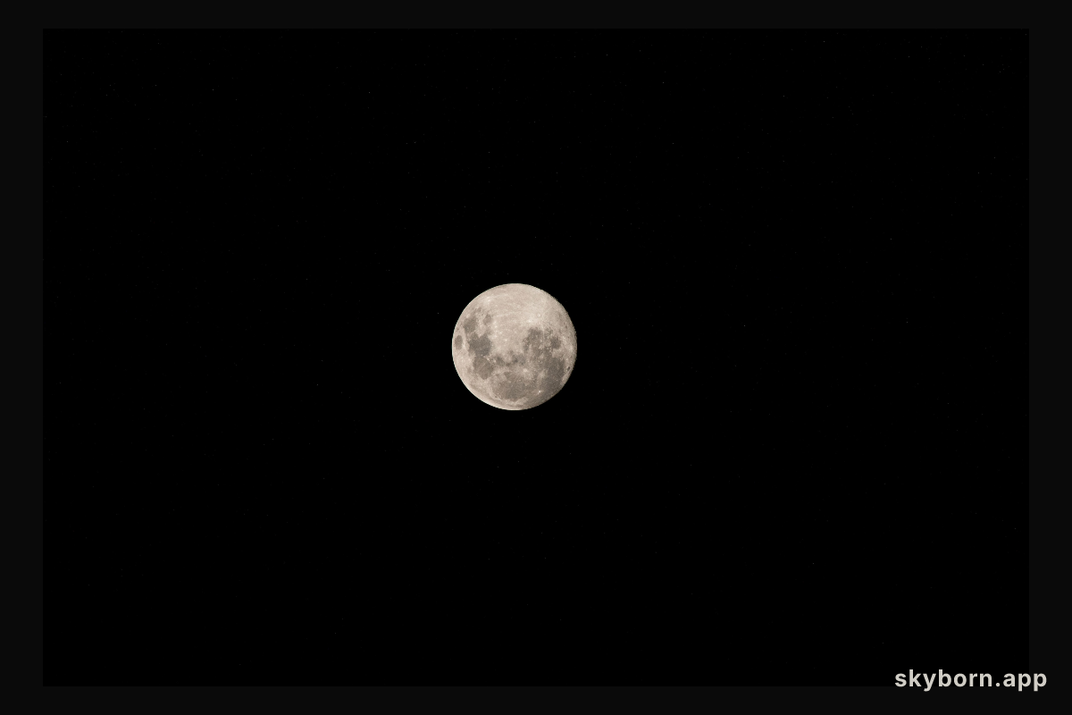 Moon