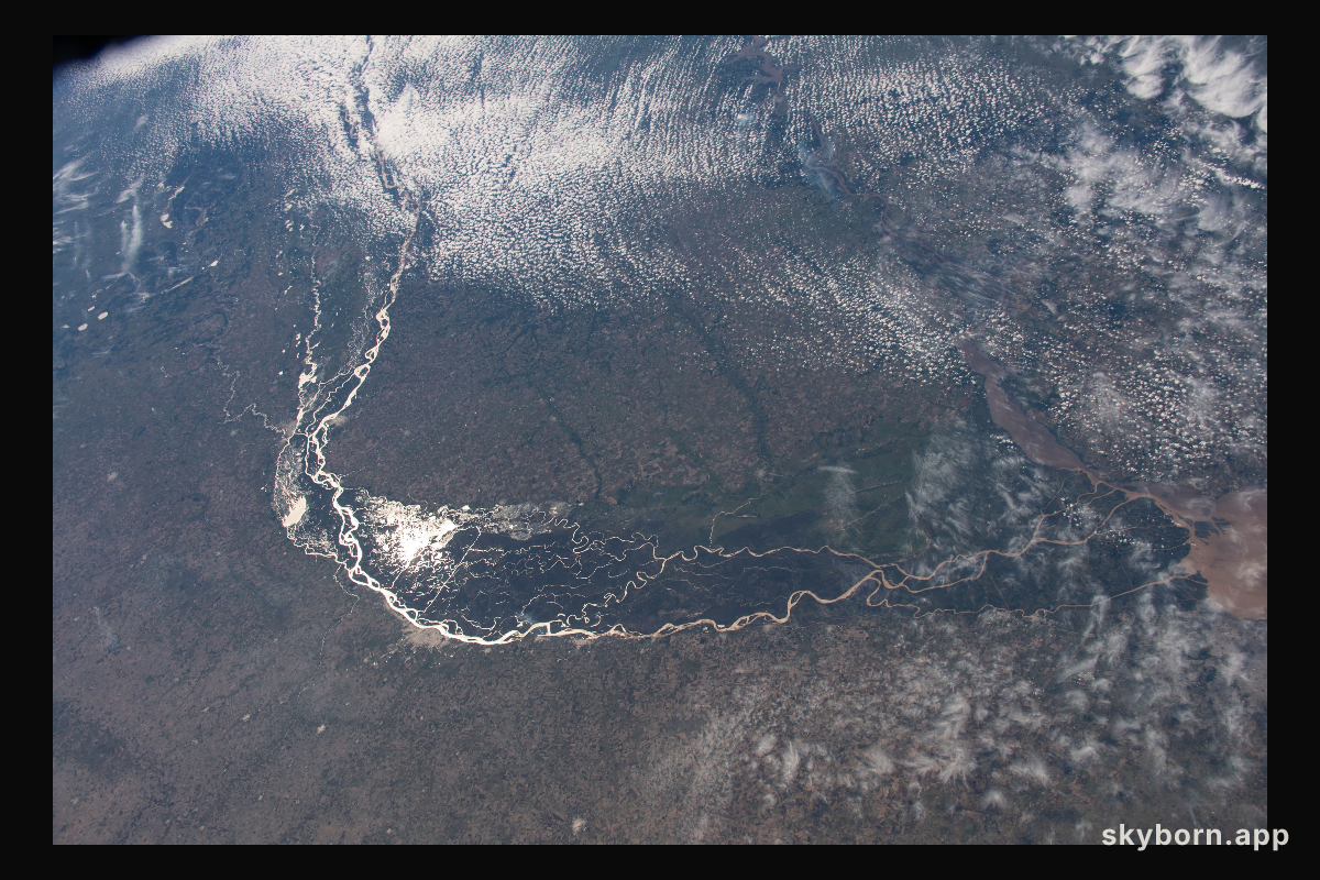The Paraná River, pictured from the International Space Station at an altitude of 269 miles, leads into the Paraná