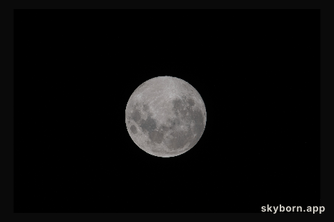 The Moon is pictured the day before its Full Moon phase from the International Space Station as it orbited 269 miles