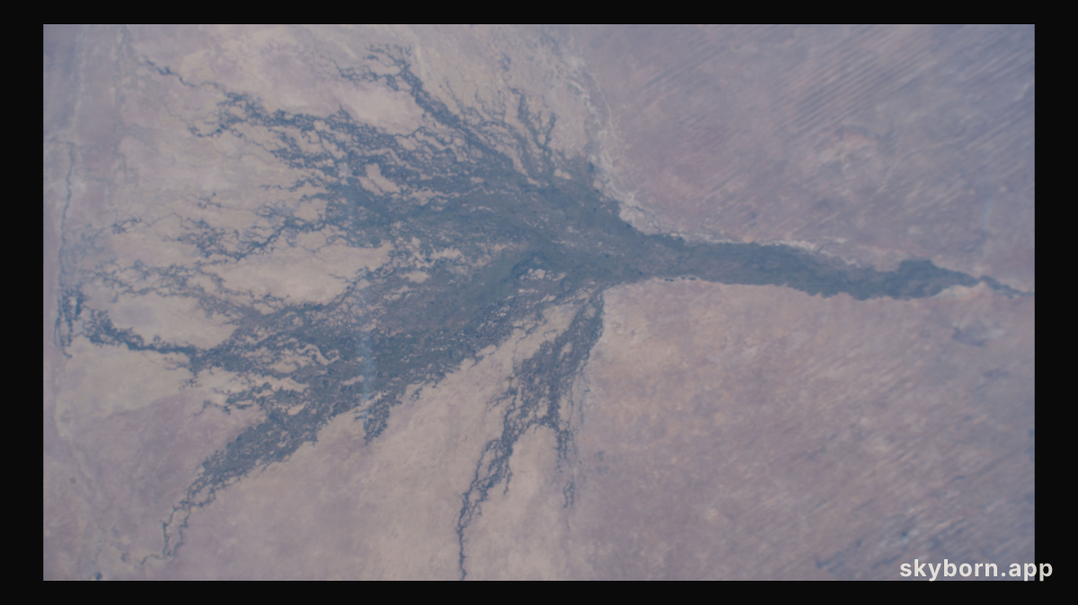 The Okavango Delta is formed by the Okavango River flowing in from Angola