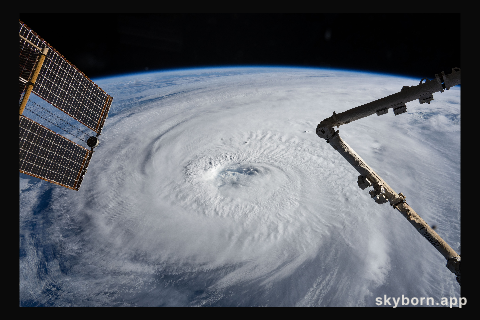 Category 4 Typhoon Halong is pictured south of Japan