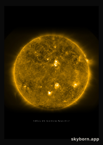 The Sun on 2 June 2010
