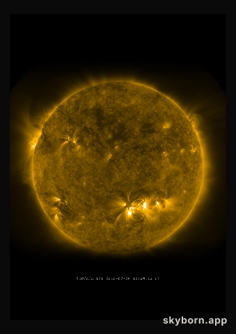 The Sun on 26 July 2010