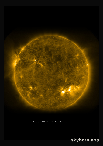 The Sun on 27 July 2010