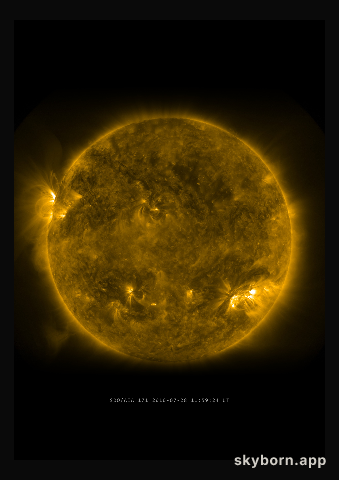 The Sun on 28 July 2010