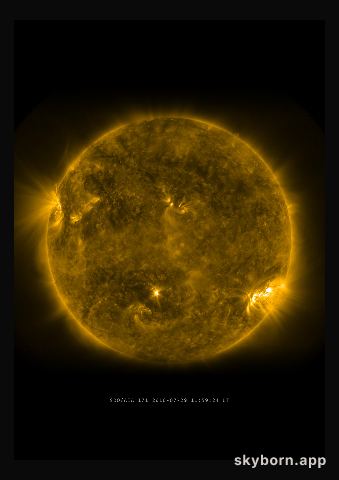 The Sun on 29 July 2010