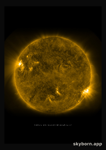 The Sun on 30 July 2010