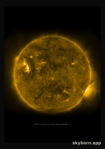 The Sun on 31 July 2010