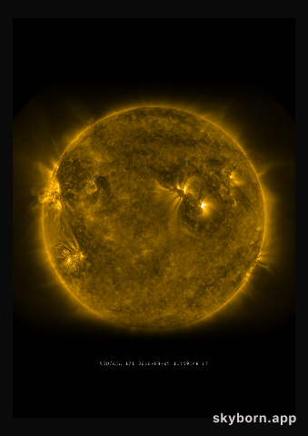 The Sun on 5 August 2010