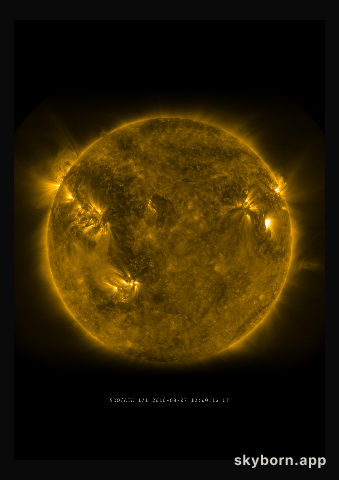 The Sun on 7 August 2010