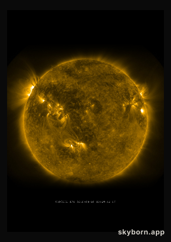 The Sun on 8 August 2010