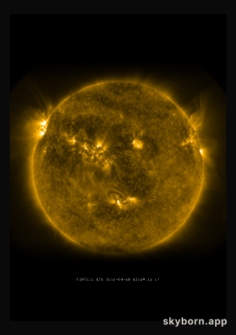 The Sun on 9 August 2010