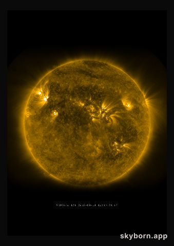 The Sun on 11 August 2010