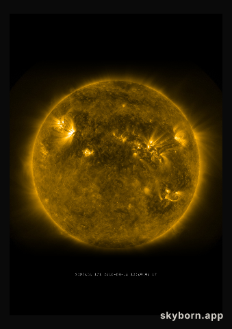 The Sun on 12 August 2010