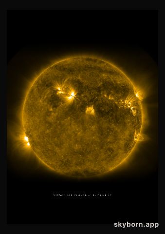 The Sun on 14 August 2010