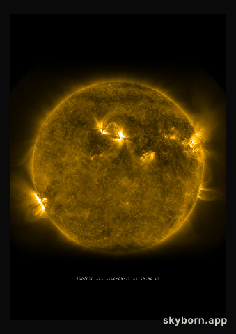 The Sun on 15 August 2010