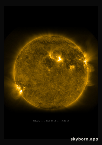 The Sun on 16 August 2010