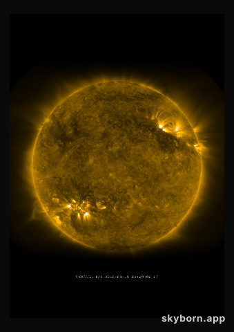 The Sun on 19 August 2010