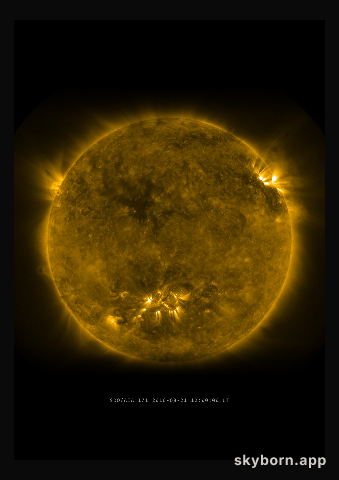 The Sun on 21 August 2010