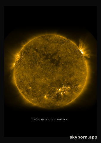 The Sun on 23 August 2010