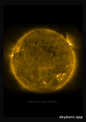The Sun on 24 August 2010