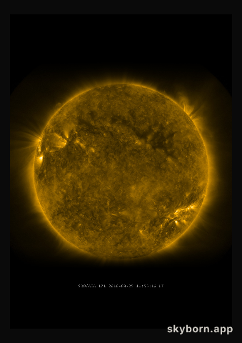 The Sun on 25 August 2010