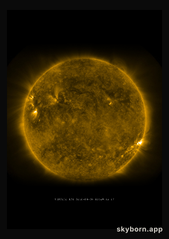 The Sun on 26 August 2010