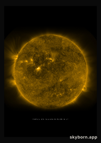 The Sun on 29 August 2010