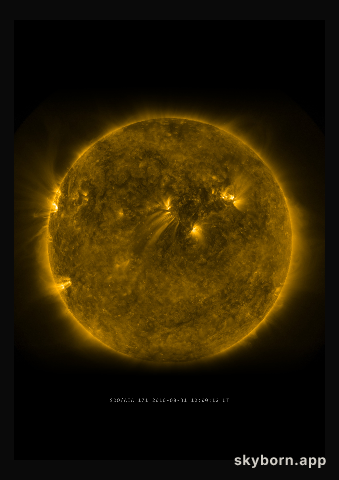 The Sun on 31 August 2010