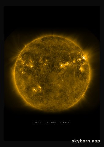 The Sun on 3 September 2010