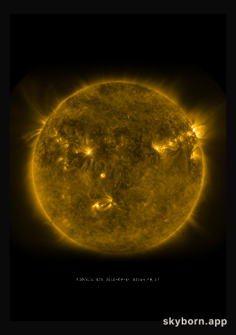 The Sun on 4 September 2010