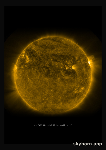 The Sun on 8 September 2010