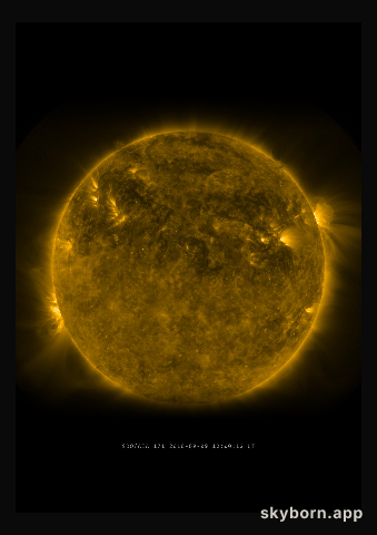 The Sun on 9 September 2010